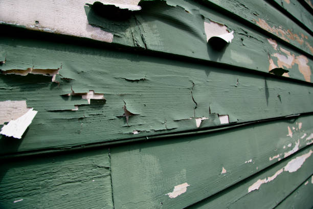 Best Residential Junk Removal  in Newport, WA