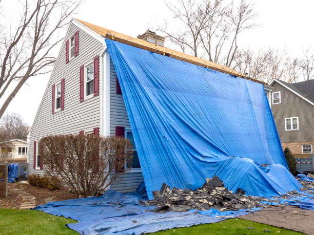 Best Property Management Cleanouts  in Newport, WA