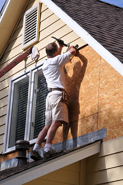 Demolition Debris Removal in Newport, WA